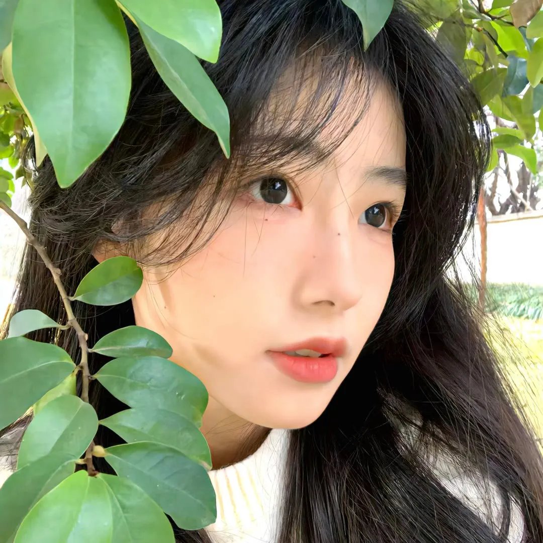 蜜月计划